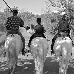 mas-du-menage-en-camargue-manade-clauzel.fr-provencehotel.com/